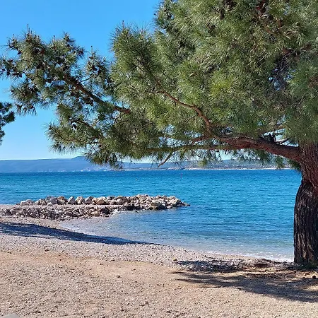Einzigartiges Nur 20 Meter Zum Mit Privater Terrasse, Grill - Hundefreundlich *